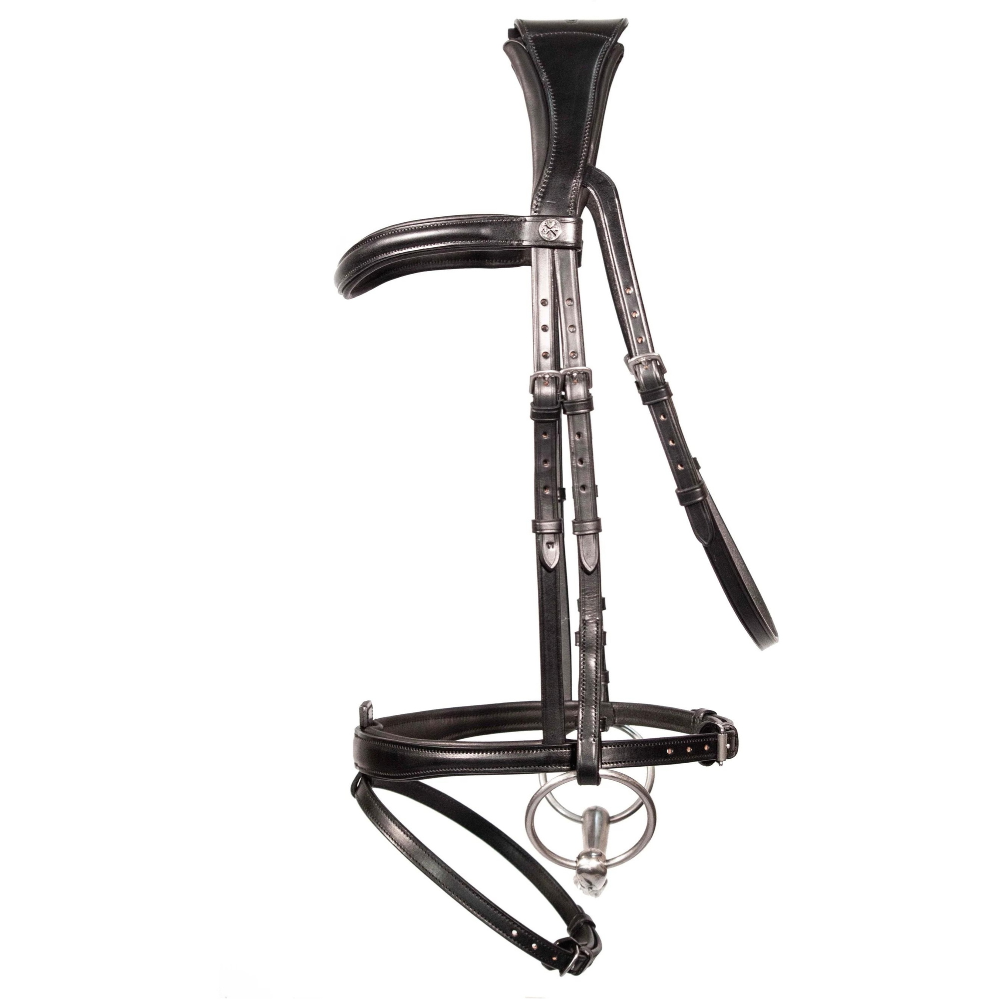 Henry James Flash Bridle HP-D1HJ COB BLACK / NB-6HJ-COB-BLACK / CS-1HJ-COB-BLACK / BB-2HJ-COB-BLACK - Black